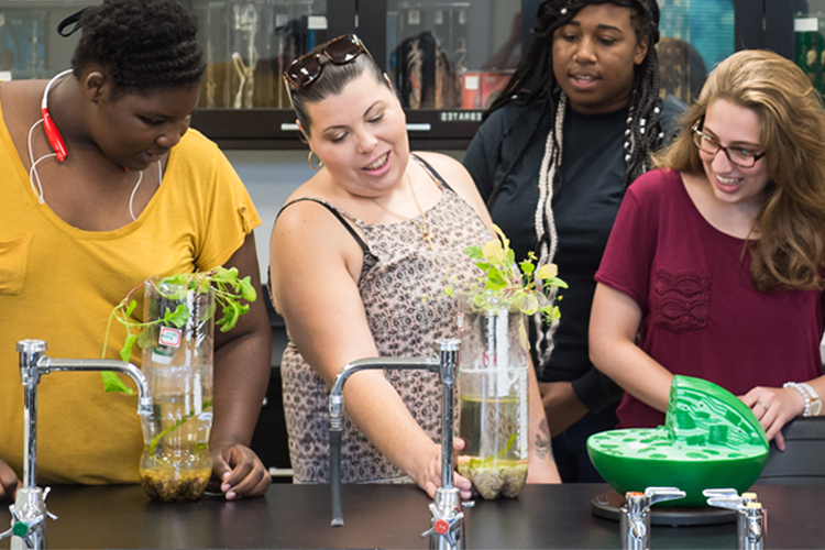 Four female students gatherd around a science lab table